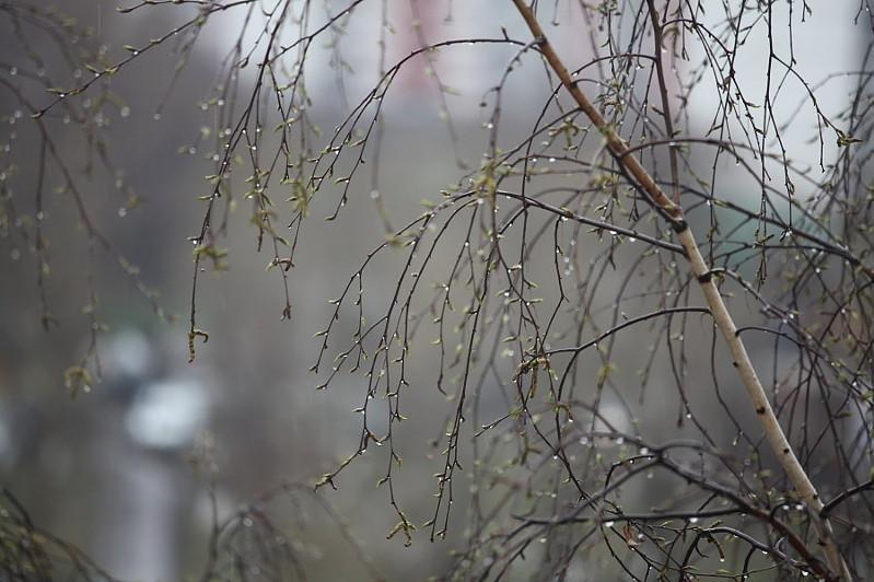  Қазақстанның екі өңірінде ауа райына байланысты ескерту жарияланды