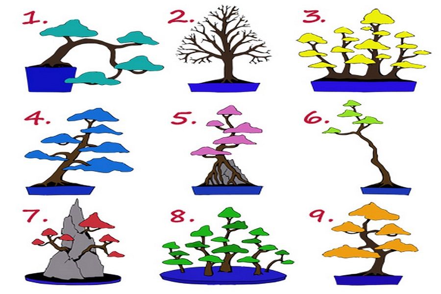 Психологиялық тест: Ағаштың бірін таңдап, болмысыңыз жайлы сыр біліңіз