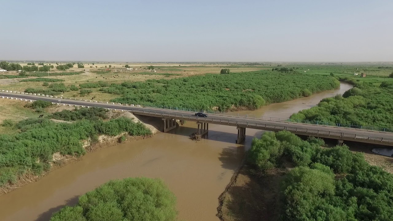 3 жасар бүлдіршін Арыс өзеніне батып кетті