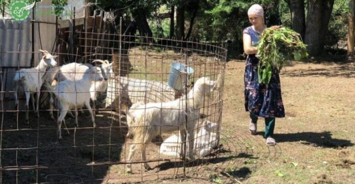 Жеңге қайнысын жалаңаш қып шешіндіреді