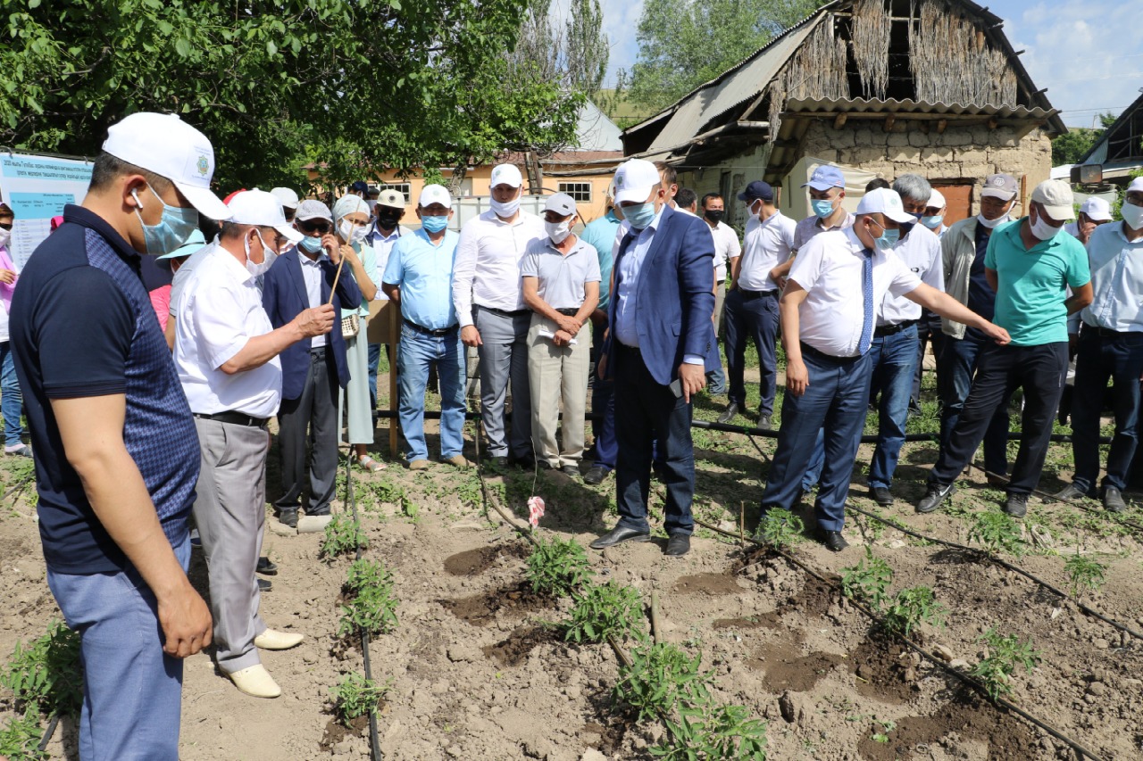 ТҮРКІСТАН: ТҮЛКІБАСТА ҮЙ ІРГЕЛІК ЖЕРЛЕРДІ ТИІМДІ ПАЙДАЛАНУ БОЙЫНША КӨШПЕЛІ СЕМИНАР ӨТТІ