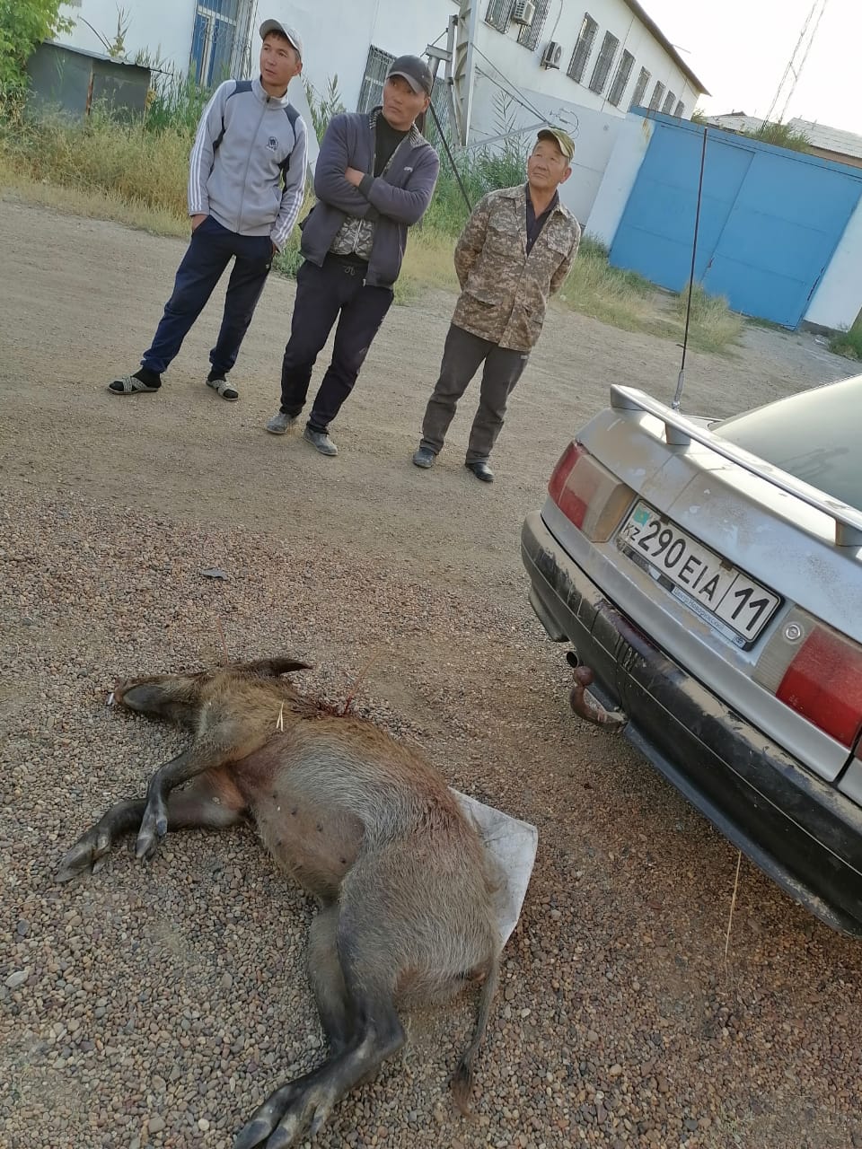 В Кызылорде задержали браконьеров