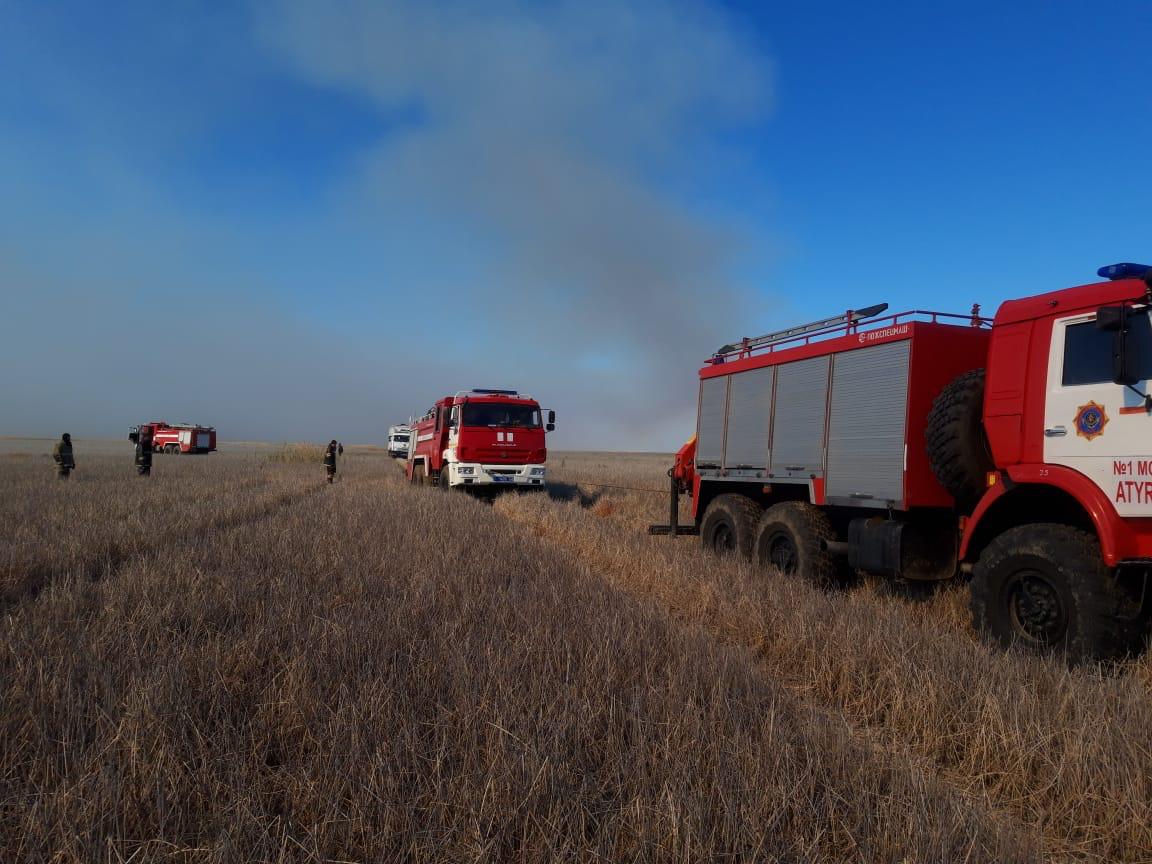 Возгорание камыша ликвидировали в Атырауской области