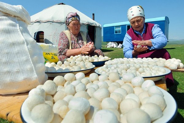 Құрт сатып, зәулім үй салған отбасы құрт жасаудың ерекше тәсілімен бөлісті