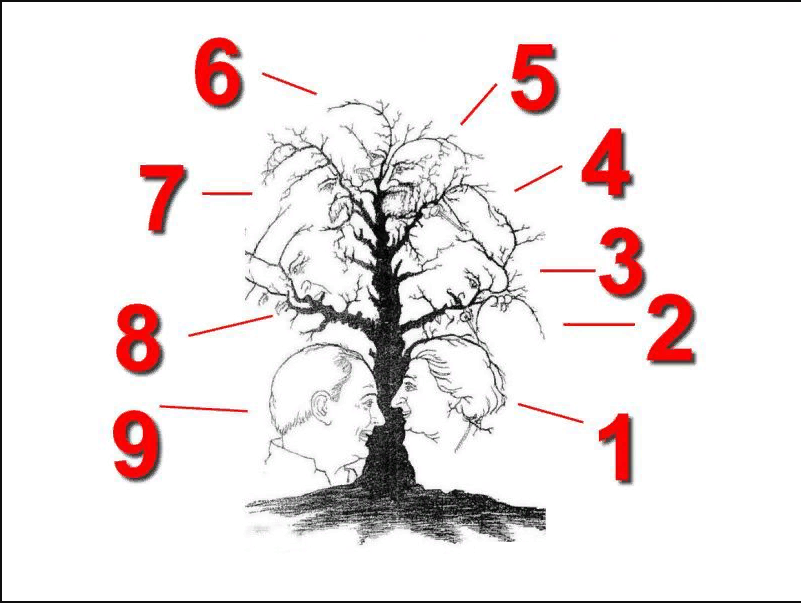  width=