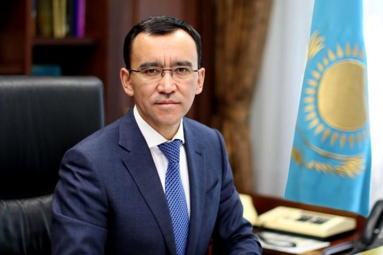 Мәулен Әшімбаев шу туғызбас үшін заңдарды қалай қабылдау керектігін айтты