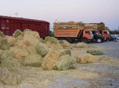 Мал азығын дайындауға толықтай мүмкіндік бар