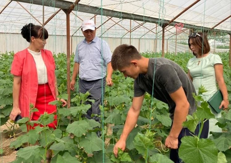 Ордабасыда жылына екі өнім алатын диқандар көбейген