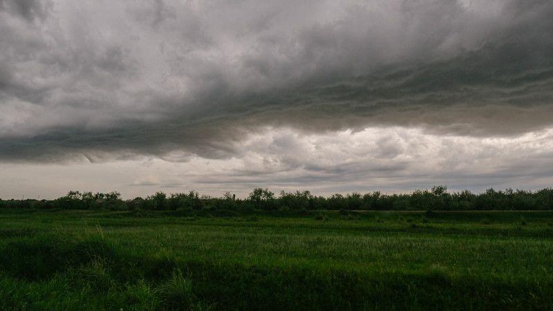 Ауа райы болжамы: Қазақстанның басым бөлігінде жаңбыр жауады