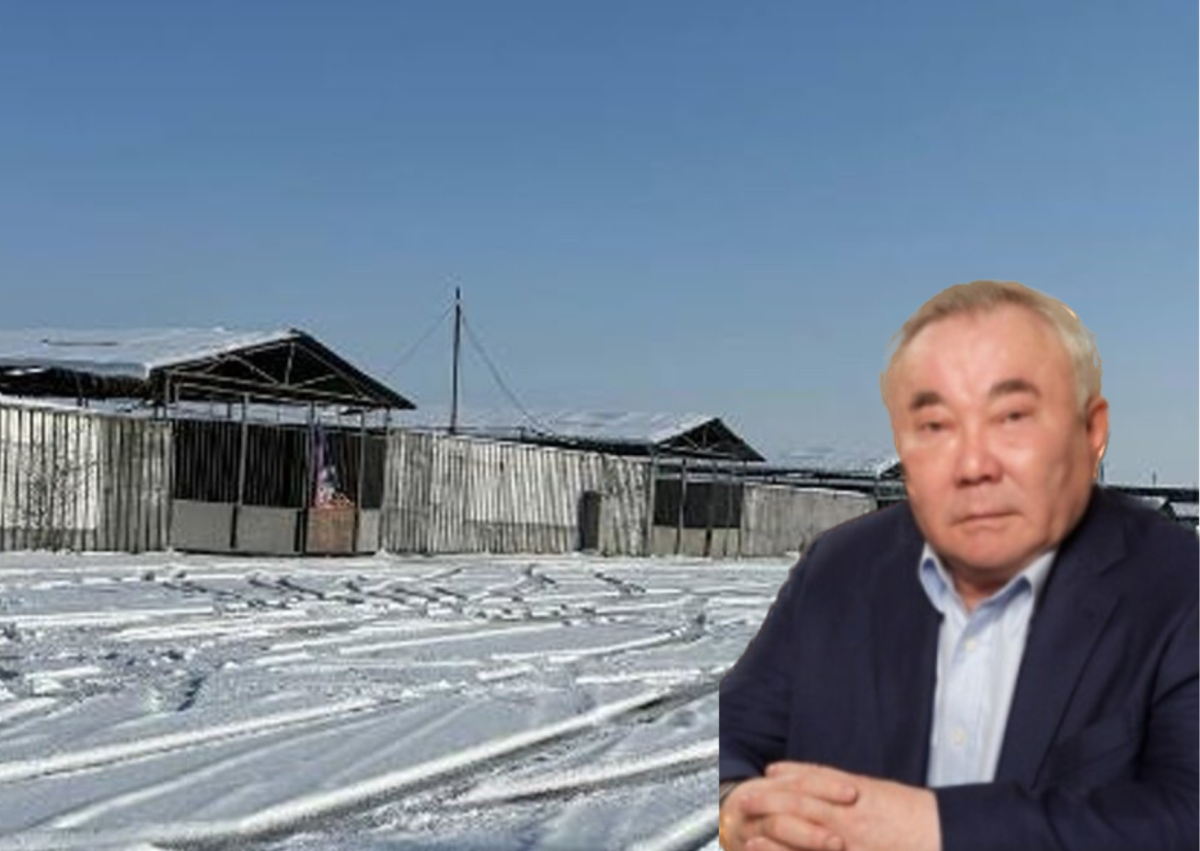 Болат Назарбаев иемденген жерлер мемлекетке қайтарылды