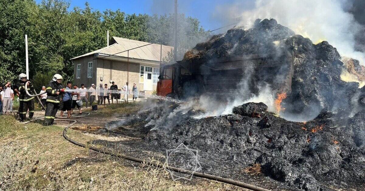 Түркістан облысында шөп тиелген көлік өртке оранды