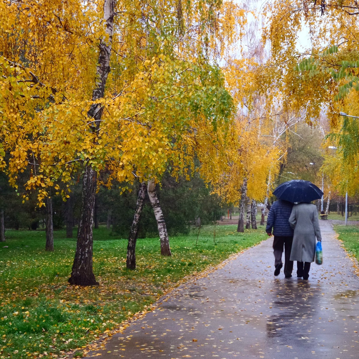 Қазақстанның ірі қалаларының бірінде бүгін жауын жаумақ