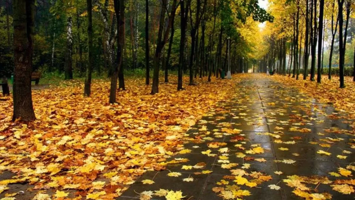 Бүгін еліміздің ірі қалаларының бірінде нөсер жауын жауады