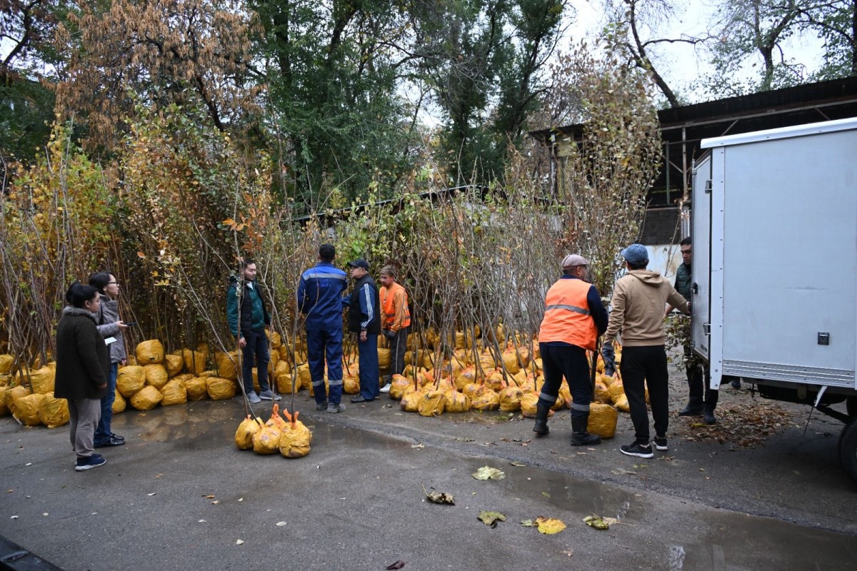 Алматыда «Жасыл аула» акциясы аяқталды