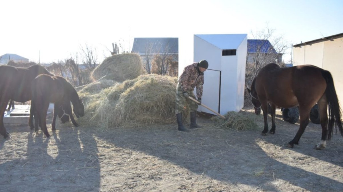 Асабадан агрономға айналды