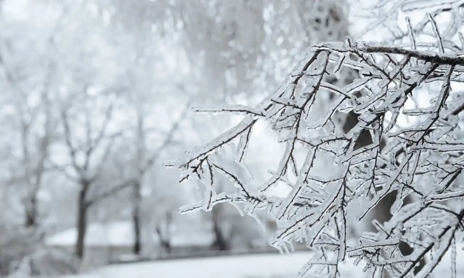 Аязды күндер келуде: -35° дейін күн суытуы мүмкін