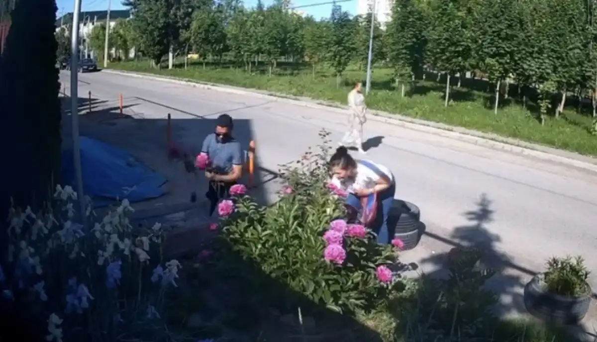 Алматыда гүлді жұлған жұрт әлеуметтік мәдениетімізді көрсетті