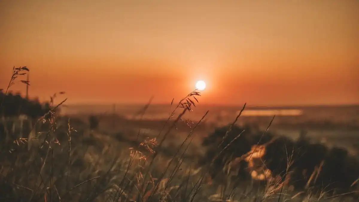 Қазақстанның басым бөлігінде күн ыстық әрі құрғақ болады