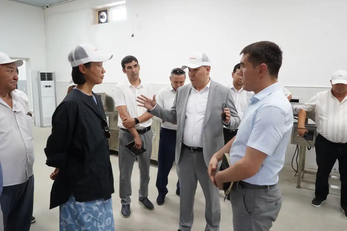 Түркістан қаласына ҚР Президентінің кеңесшісі іссапармен келді