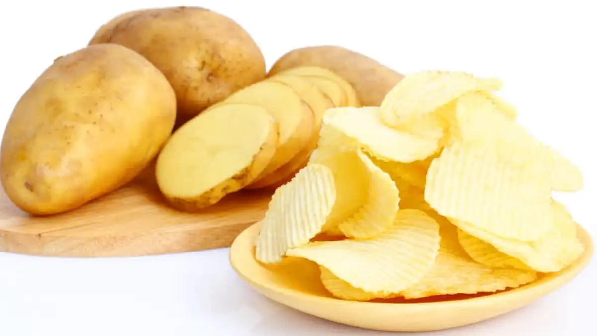 Қазақстанда Lays чипсіне арналған картоп егіле бастады