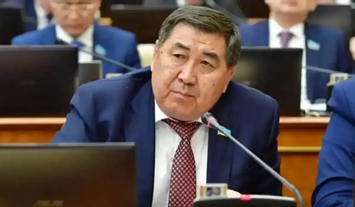 Ермұрат Бапи партия құрғалы жатыр ма?