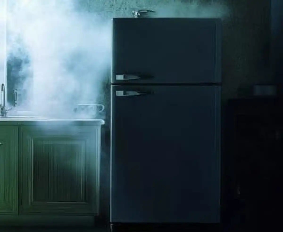 Әріптесі дәрігерді өлтіріп, мұздатқышқа жасырған