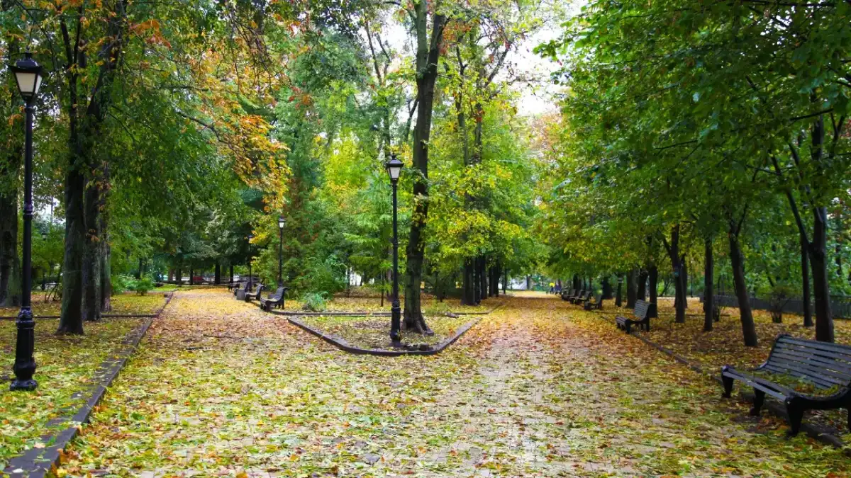 18 қыркүйекке арналған ауа райы болжамы