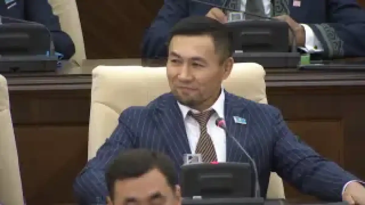 «Онда тұрған ештеңе жоқ»: Мәжіліс Назароатың анасын құттықтауына пікір білдірді
