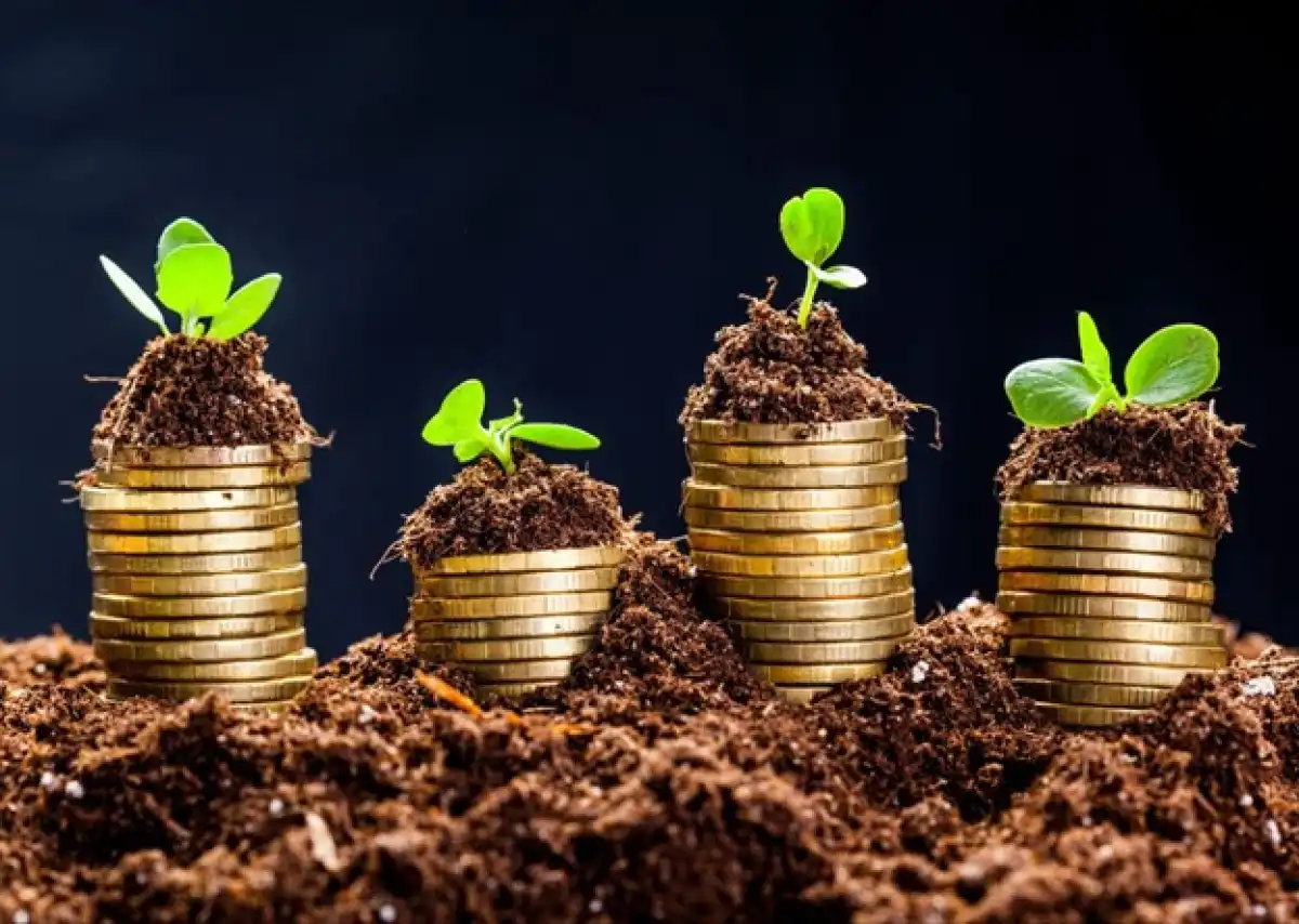 Қорқынышсыз инвестициялар: аз қаражатпен бастау, ақшаны инфляциядан қорғау және қателеспеу жолдары