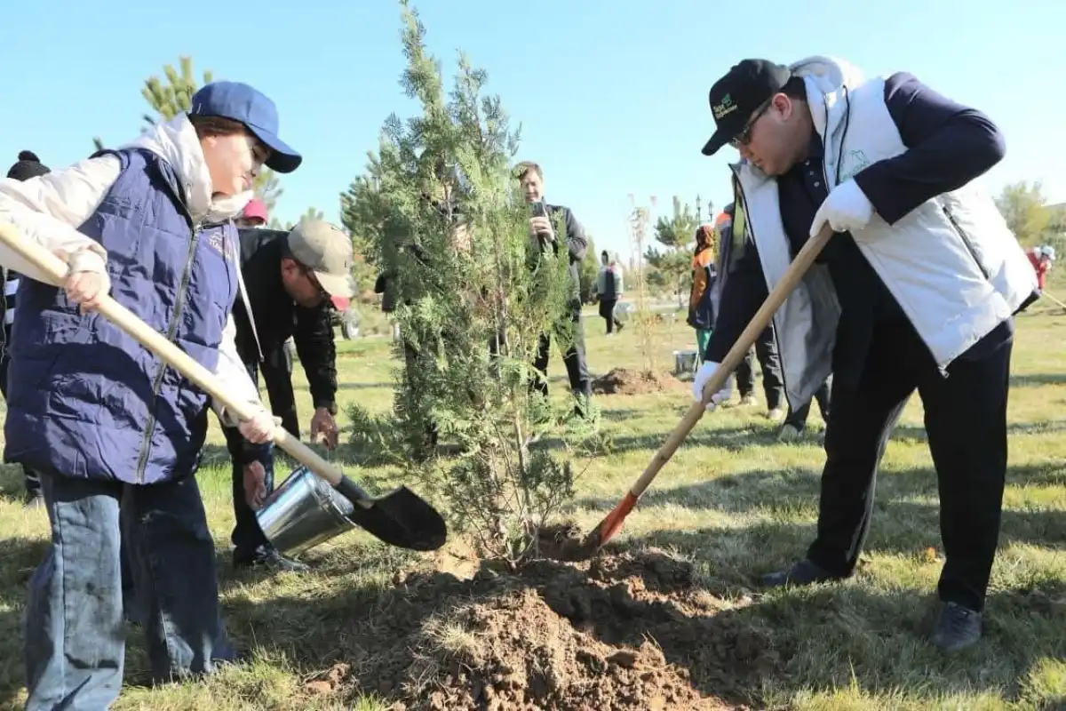 2 млрд ағаш: Түркістандағы парктерге күздік ағаштар отырғызылды