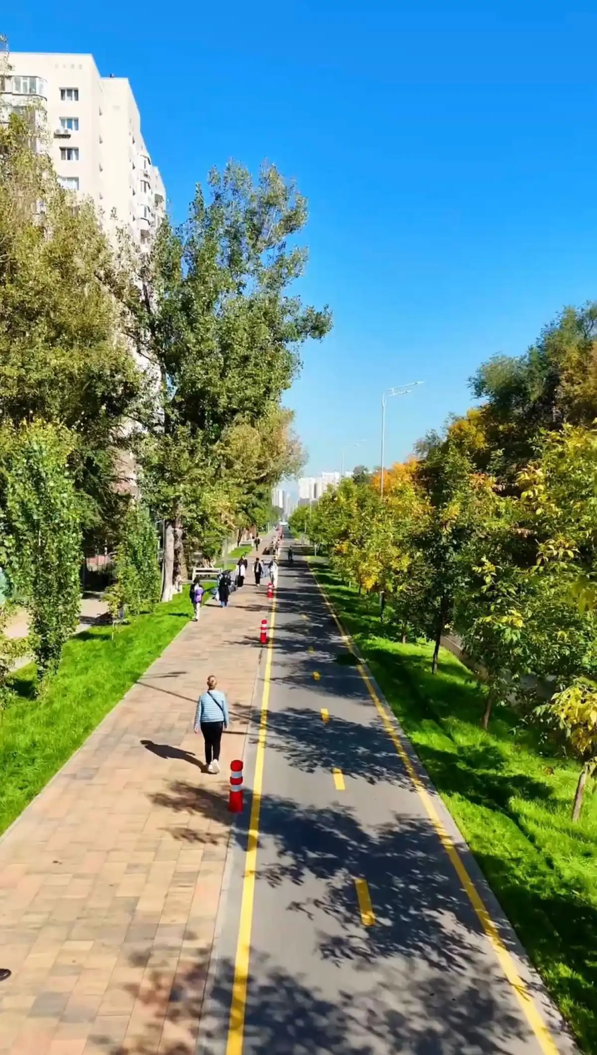 Жасыл желек пен жарық — Алматыда Торайғыров көшесінде ауқымды жаңарту жұмыстары аяқталды