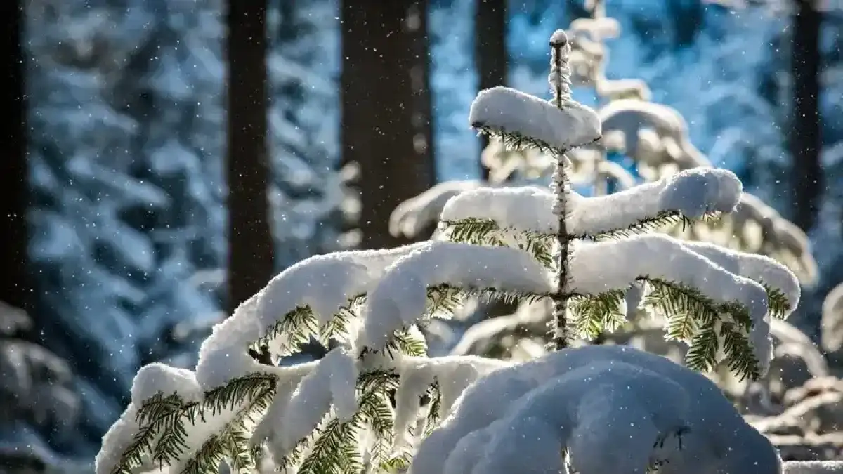 Бүгін Астана ауа-райы қандай болады?