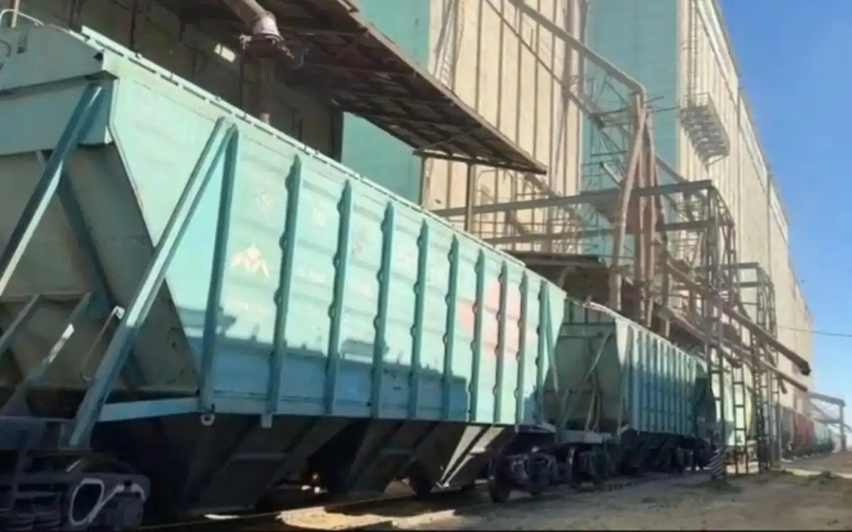 Астық экспорты 3 млн тоннадан асты