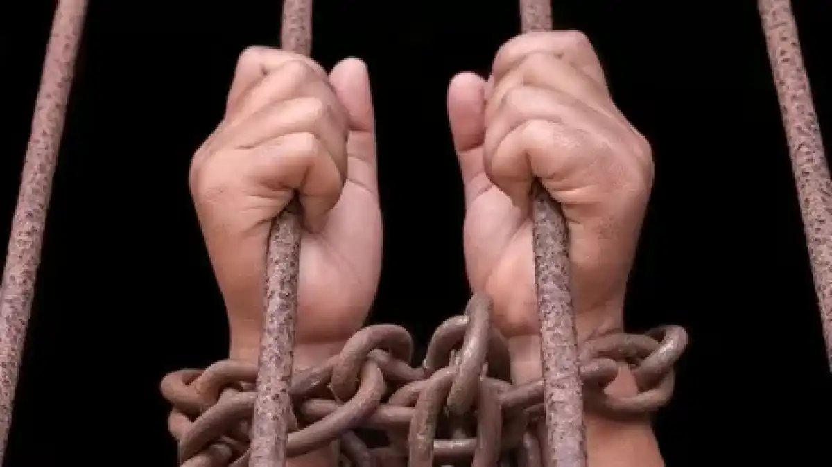 Жамбылда өгей әкесінің құлдығына ұшыраған балалар ісі бойынша үкім шықты