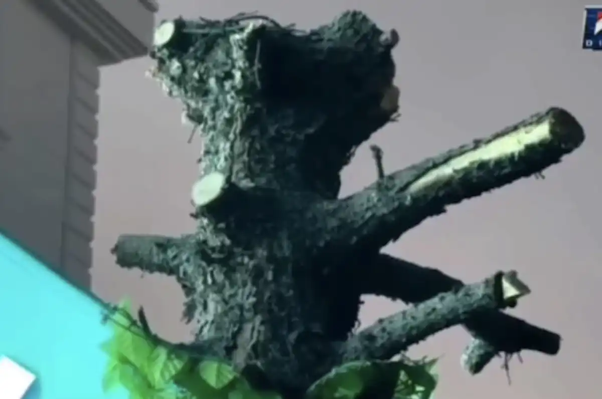 Фото: КТК арнасынан