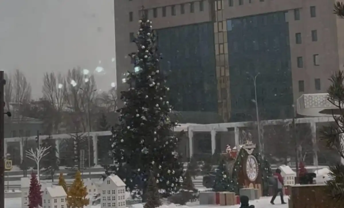 «Бишара сияқты»: халық оң жағалаудағы шыршаны сынға алды