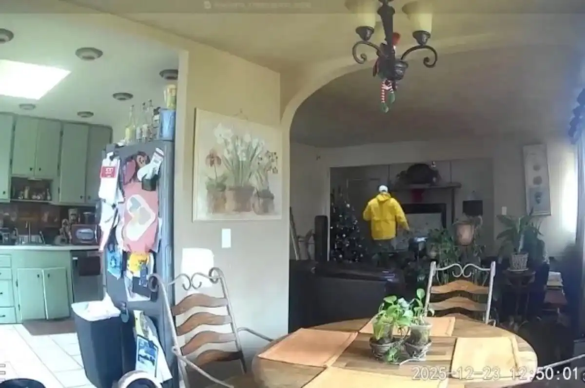 12 жастағы бала «Один дома» фильміндегідей әрекет етіп, ұрыны ұстап берген