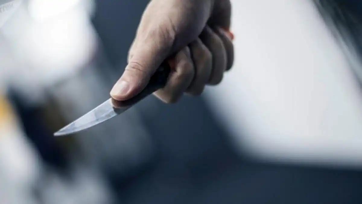 Ұрлықшылар үй иесін пышақтап, қарияны байлап кеткен: 26 жыл бұрынғы қылмыс әшкере болды