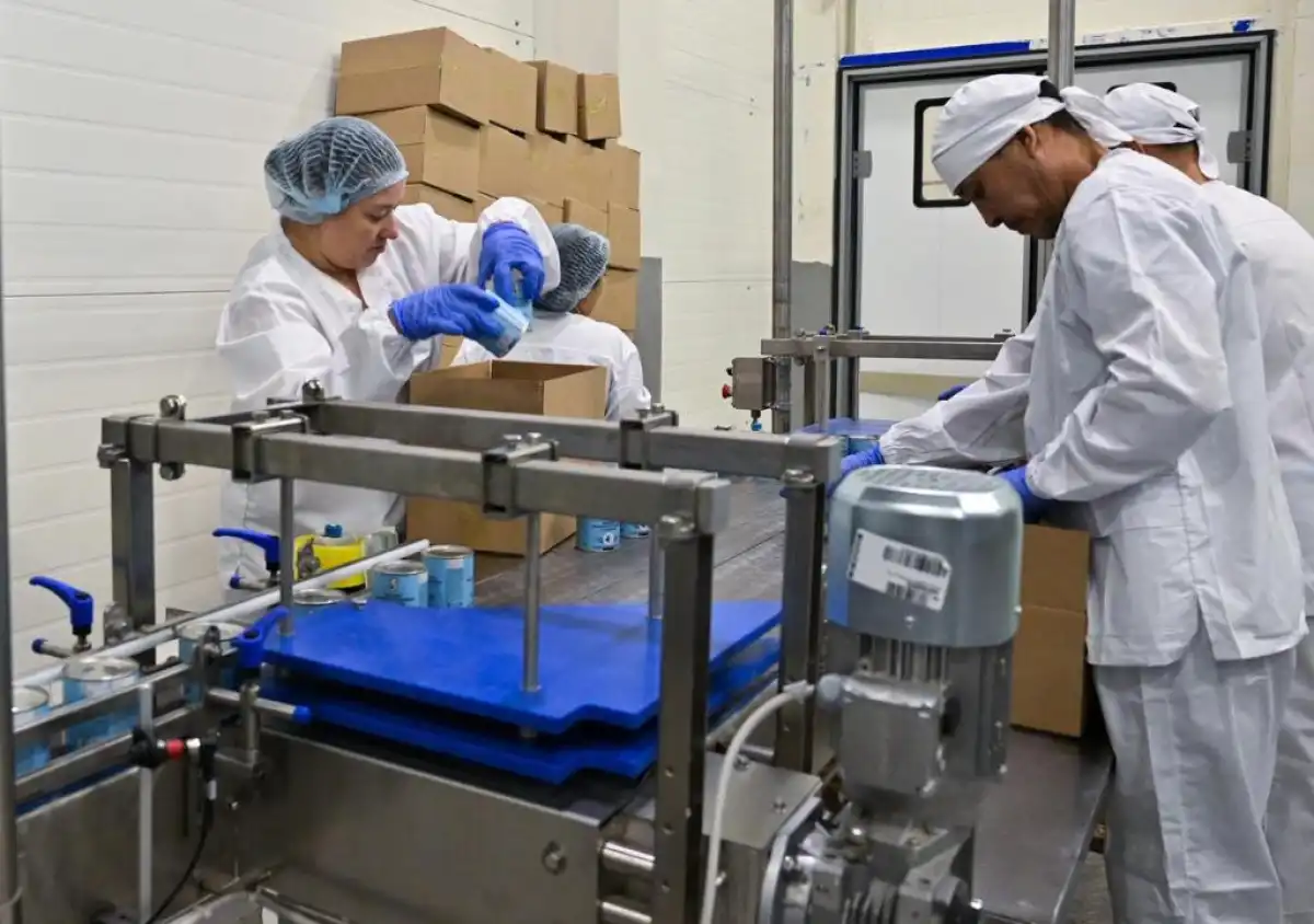 СҚО-да еліміздегі ең ірі қоюландырылған сүт өндіретін цех іске қосылды