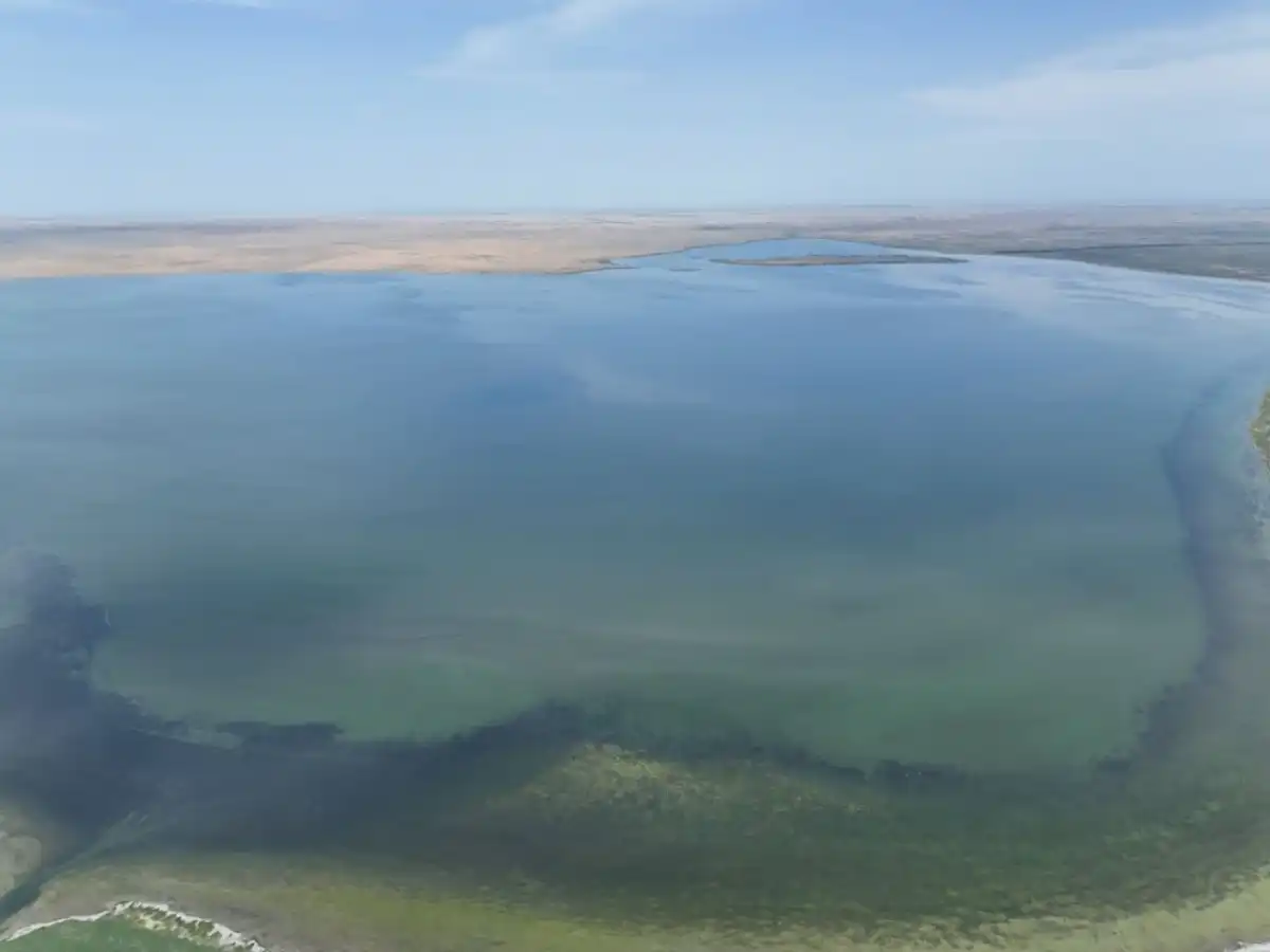 14 млн теңге айыппұл төледі: «Алматы Су» кәсіпорны Сорбұлақ  қауіпті ағынды су төккен