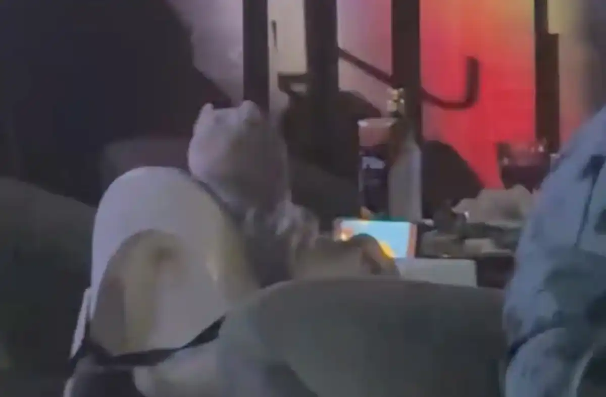 Астанада түнгі барға сәбиімен барған әйел желіні шулатты