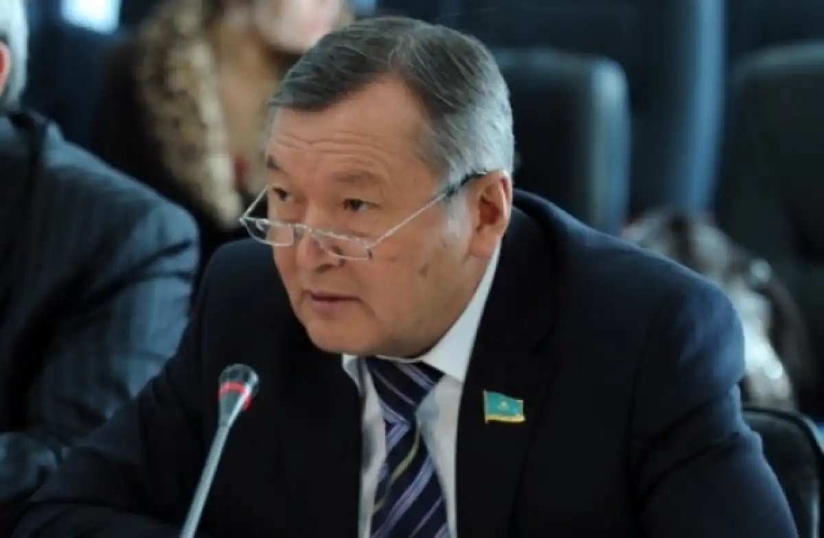 Белгілі заңгер Жаңа Конституция жобасын бүкілхалықтық референдумға шығару туралы ұсынысты қолдады