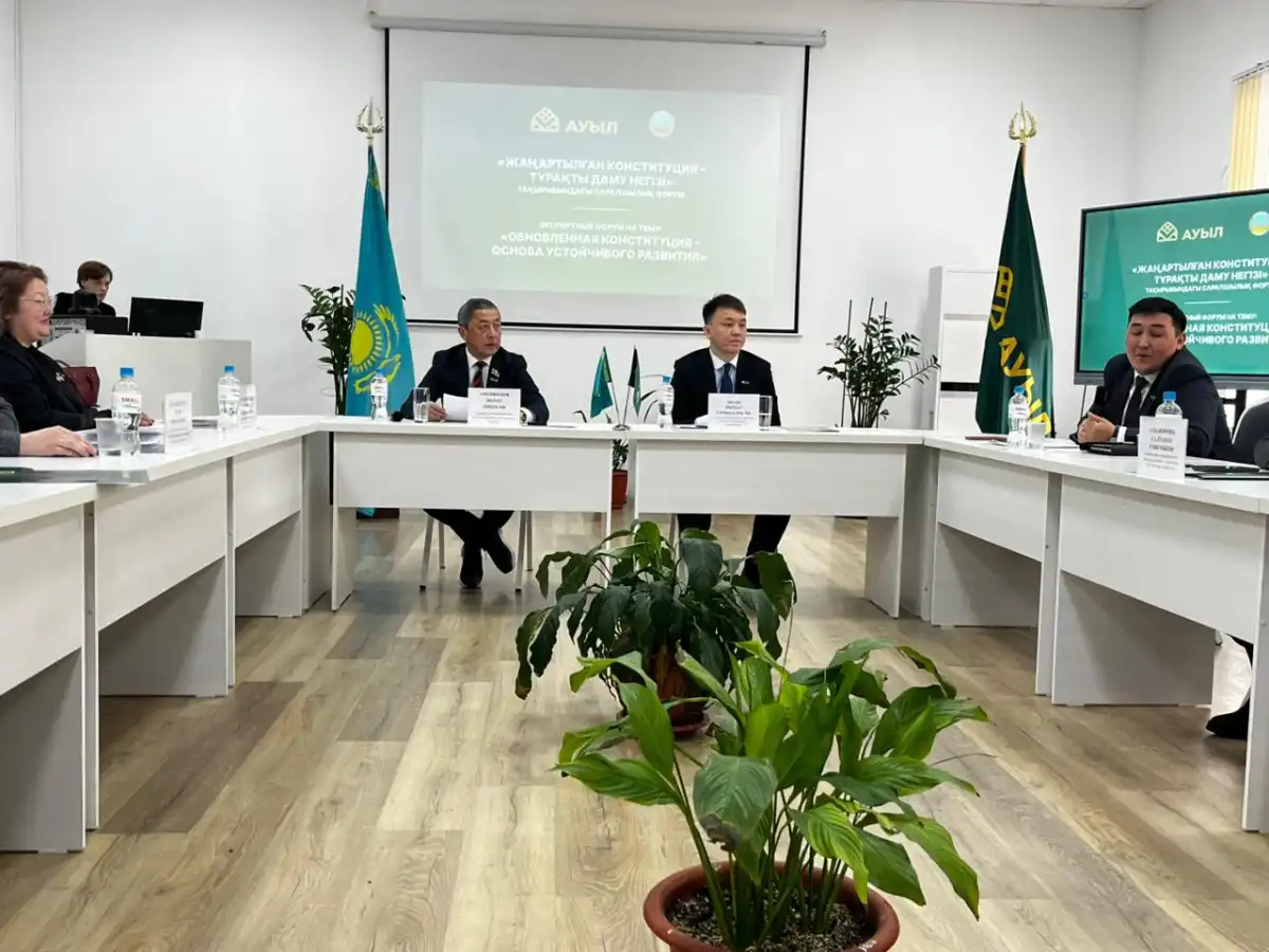 Жаңа конституция: сарапшылар қоғамдық тұрақтылық пен дамуға қолдау білдірді
