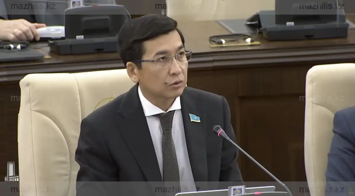 Жаңа Конституция – әлеуметтік кепілдіктер мен сөз бостандығын сақтайтын прогрессивті қадам