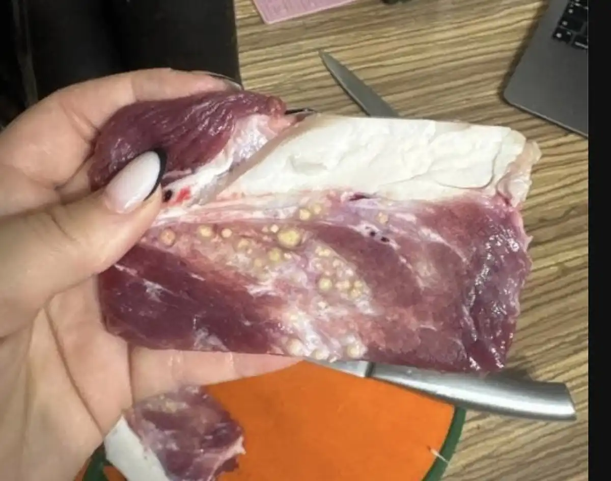 «Мұндай өзгеріс сау мал етінде болмайды»: қазақстандық Baron Food өнімінен күмәнді етті көрсетті