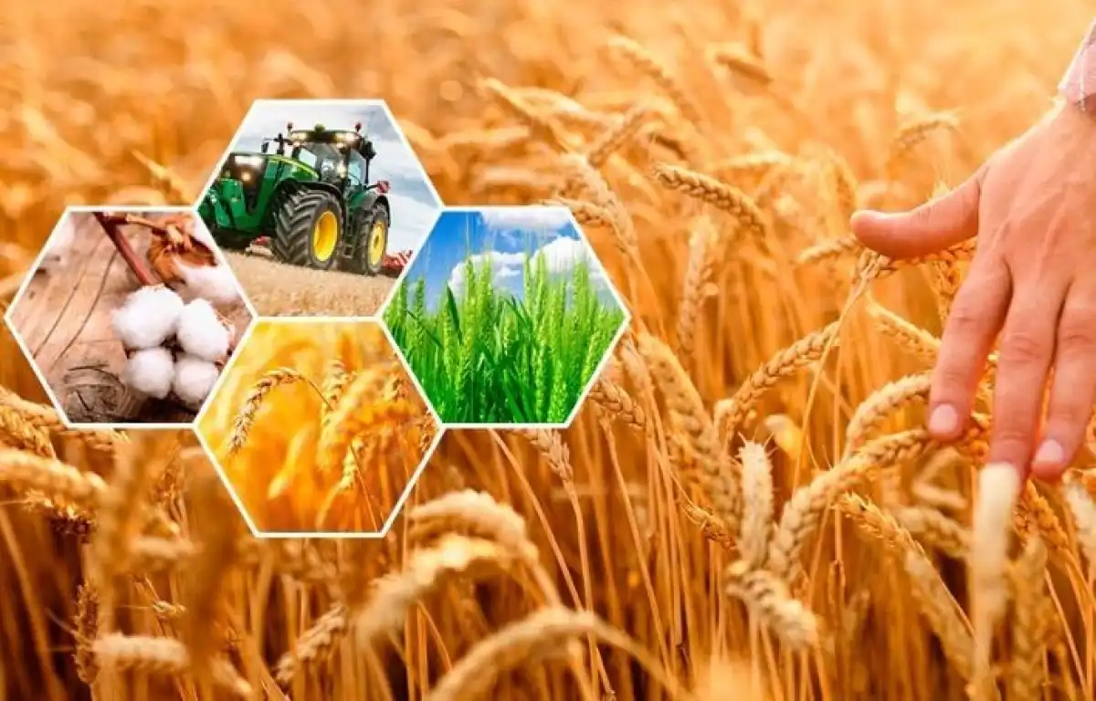 Тоқаев тапсырмасы: 2026 жылдың ортасына дейін 7,5 млн га ауыл шаруашылығы жерін айналымға енгізу