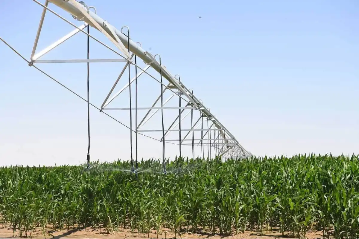 Қызылордада ірі агрокластер бой көтеруде: «Harvest Agro» жобасына 26 млрд теңгеден астам инвестиция тартылды